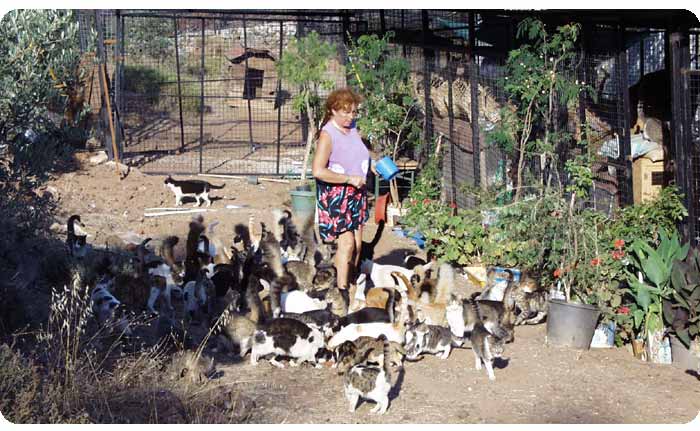 Jeannie Thirkill beim Füttern der Katzen